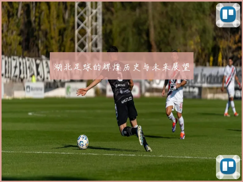 湖北足球的辉煌历史与未来展望